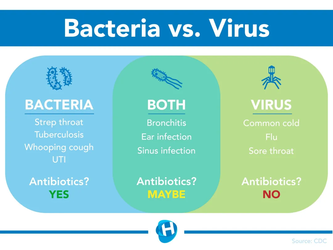 How are Virus Different from Bacteria Apex